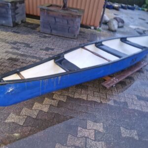 10 x ACE CANADESE KANO